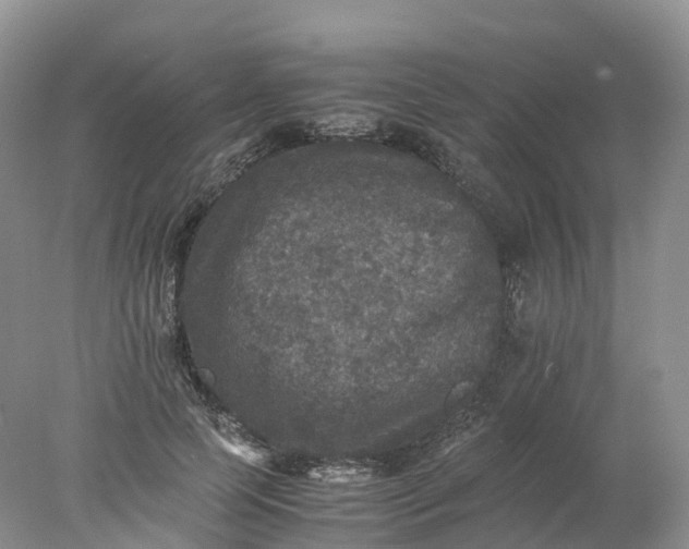 X0000078020745200611101846