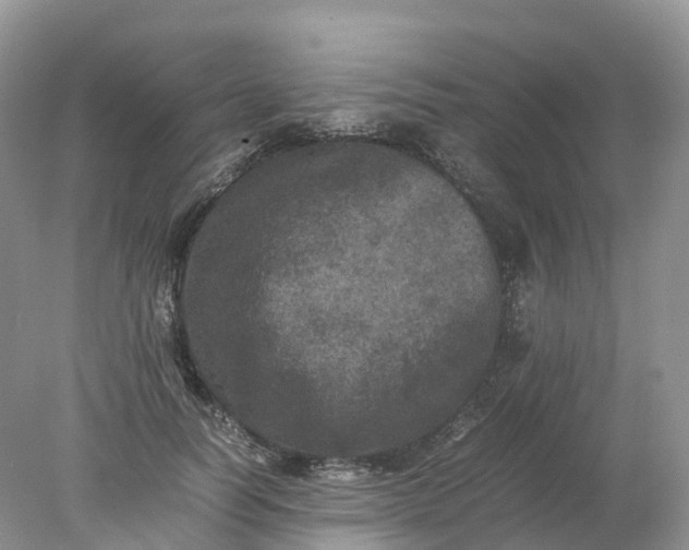 X0000078020746200611101846