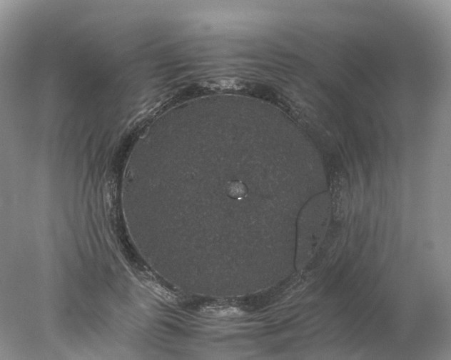 X0000078020747200611101846