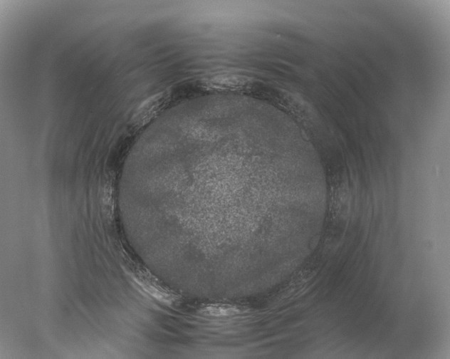 X0000078020749200611101846