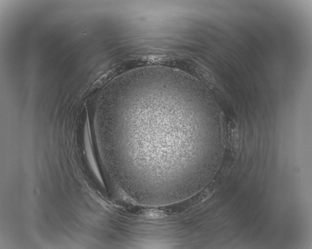 X0000078020750200611101846