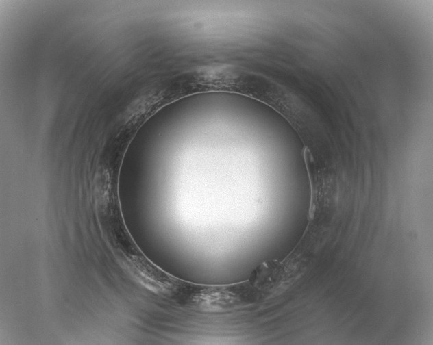 X0000078020752200611101846