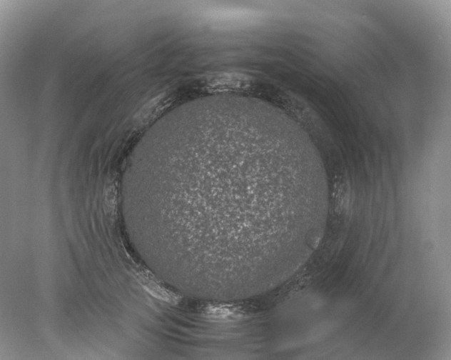 X0000078020753200611101846