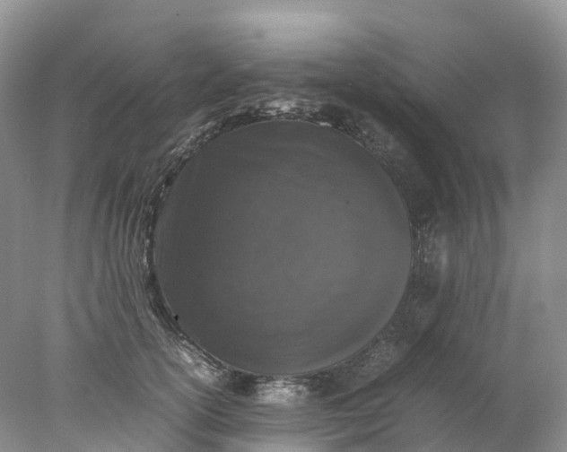 X0000078020754200611101846