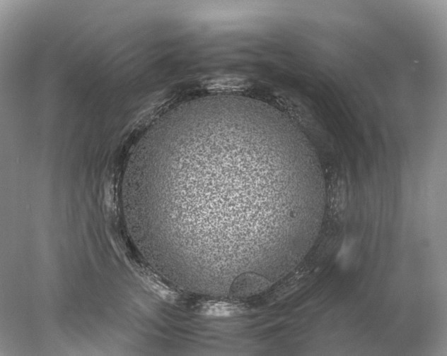 X0000078020755200611101846