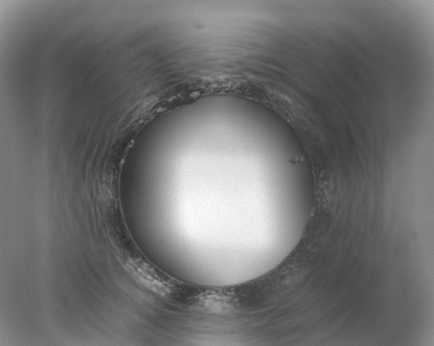 X0000078020756200611101846