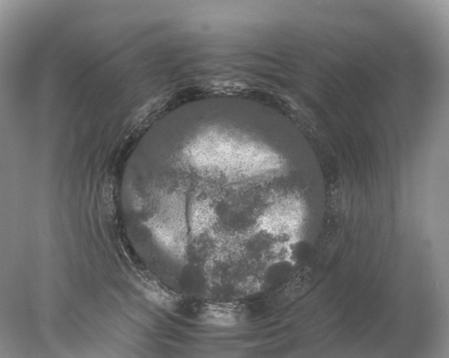 X0000078020757200611101846