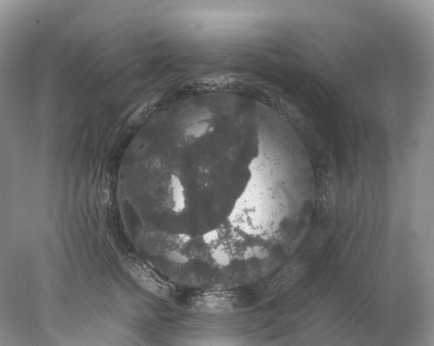 X0000078020758200611101846