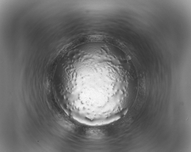 X0000078020759200611101846