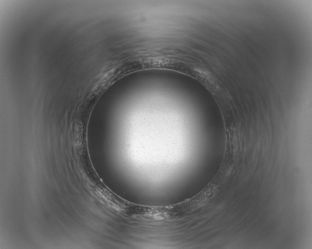 X0000078020760200611101846