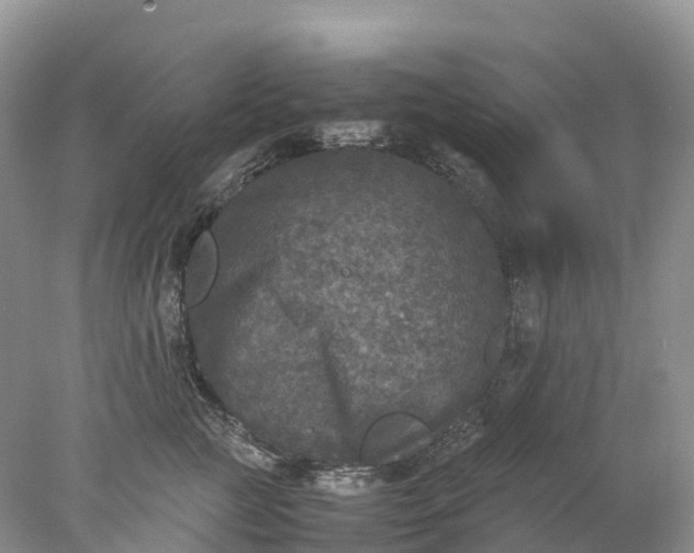 X0000078020761200611101846