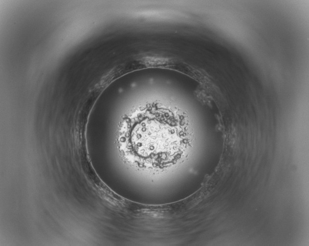 X0000078020763200611101846