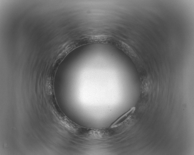 X0000078020764200611101847