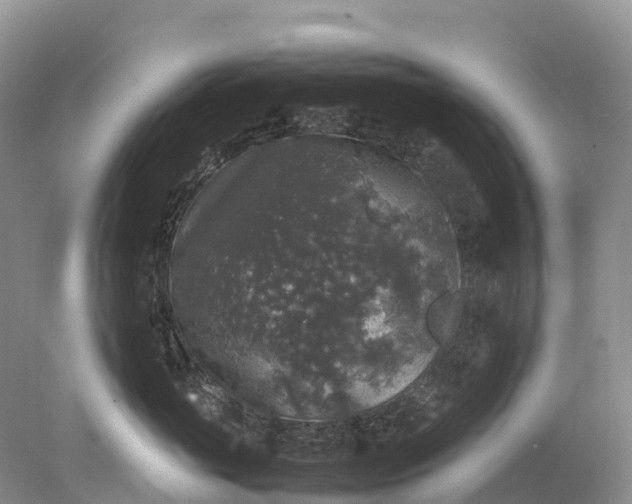 X0000078020765200611101847