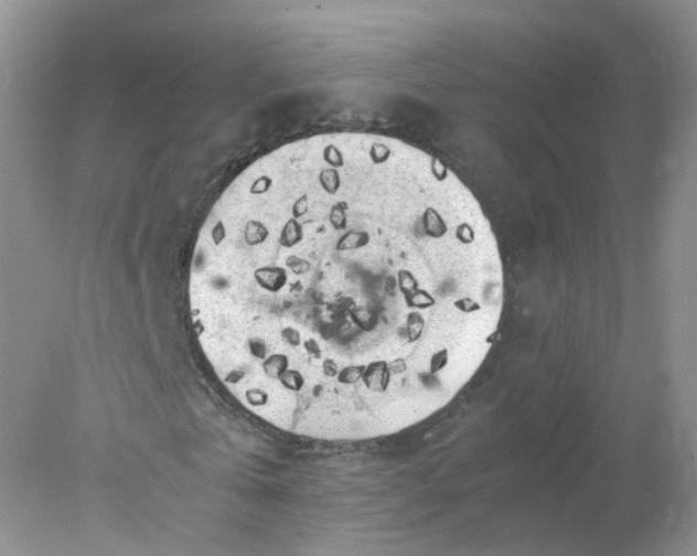 X0000078020769200611101846