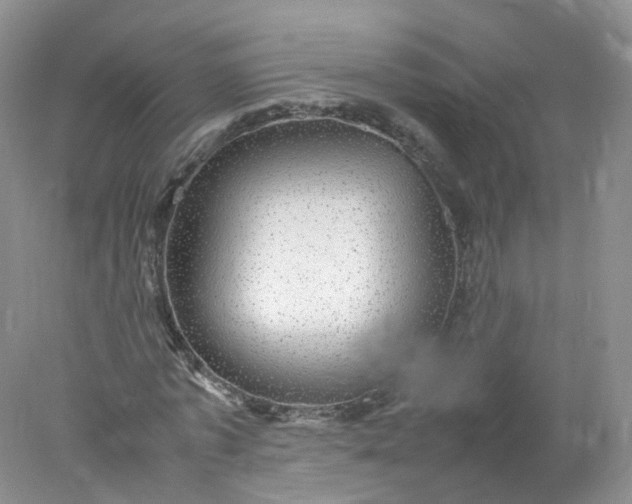 X0000078020773200611101846