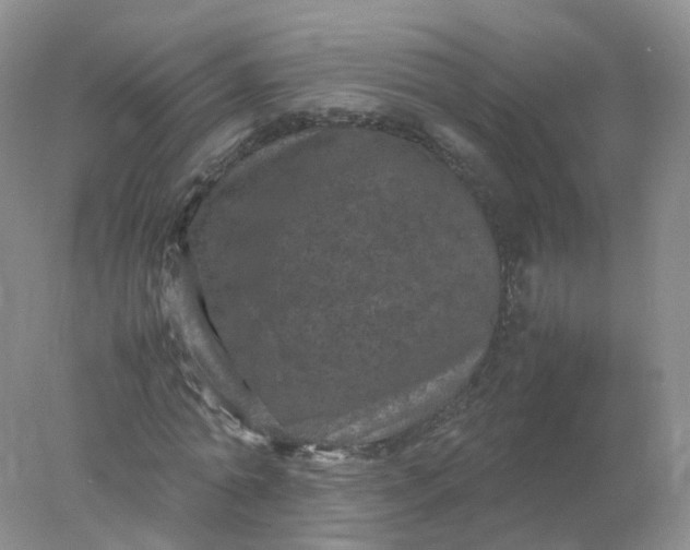 X0000078020774200611101846