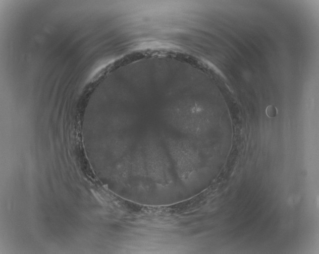 X0000078020775200611101846