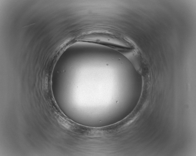 X0000078020777200611101846