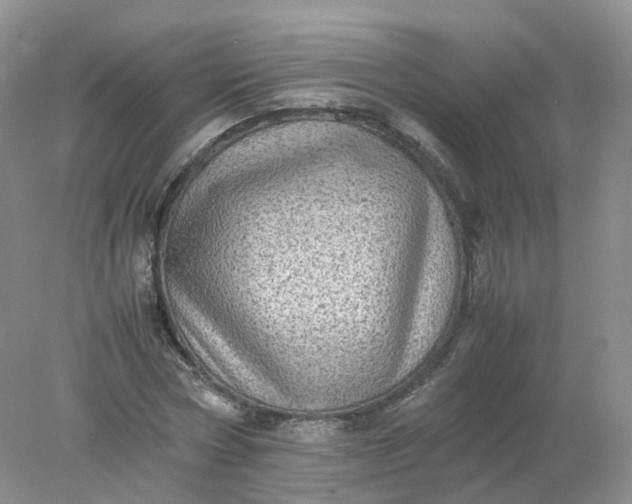 X0000078020778200611101846