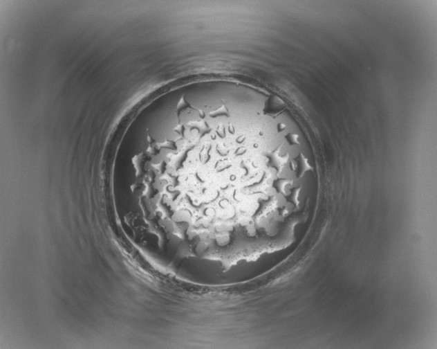 X0000078020779200611101846