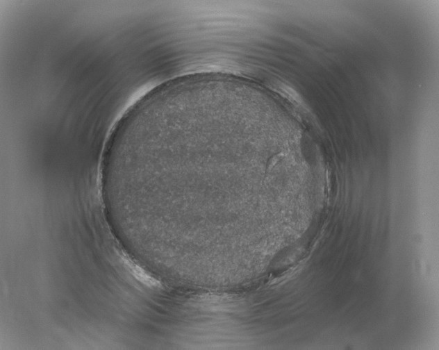 X0000078020780200611101846