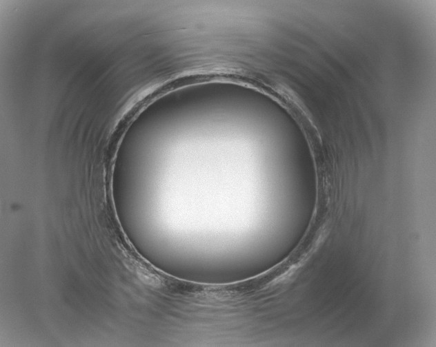 X0000078020781200611101846