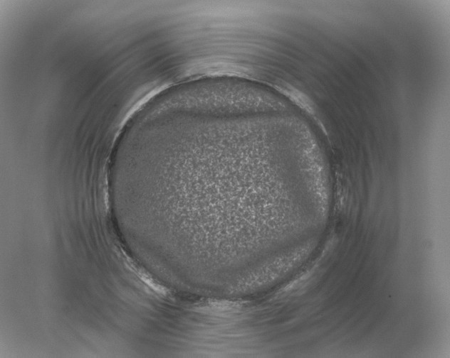 X0000078020782200611101846