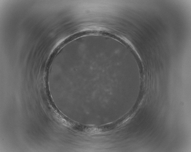 X0000078020783200611101846