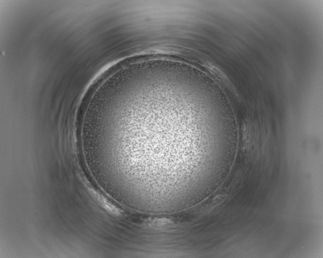 X0000078020784200611101846