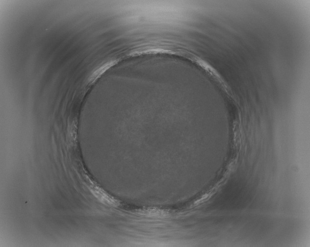 X0000078020785200611101845