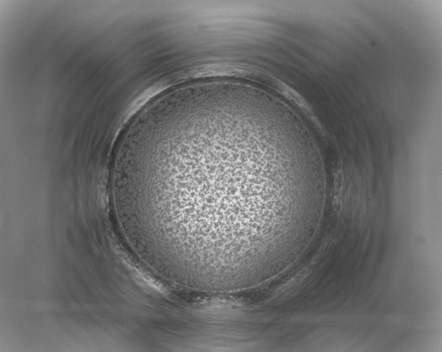 X0000078020786200611101845