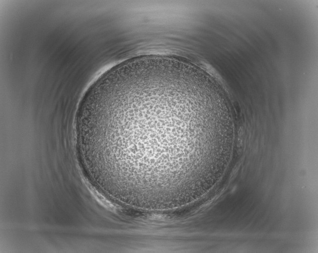 X0000078020787200611101845