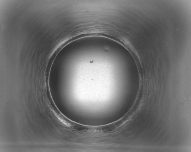 X0000078020789200611101845