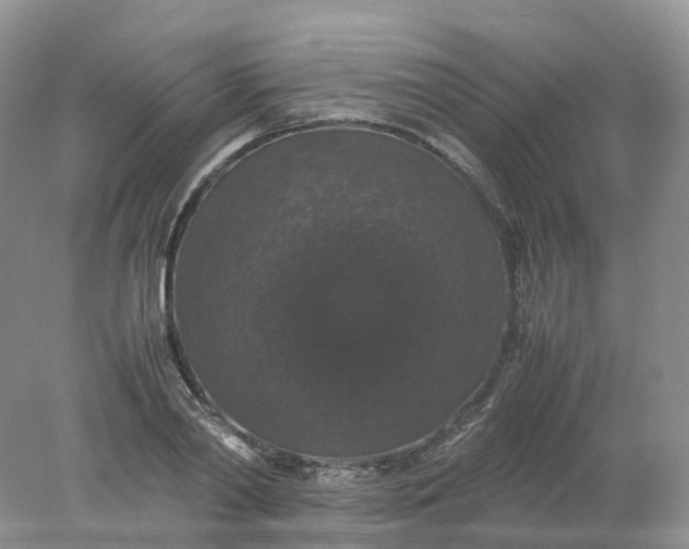 X0000078020790200611101845