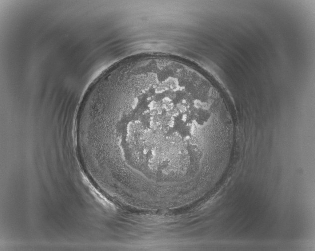 X0000078020791200611101845