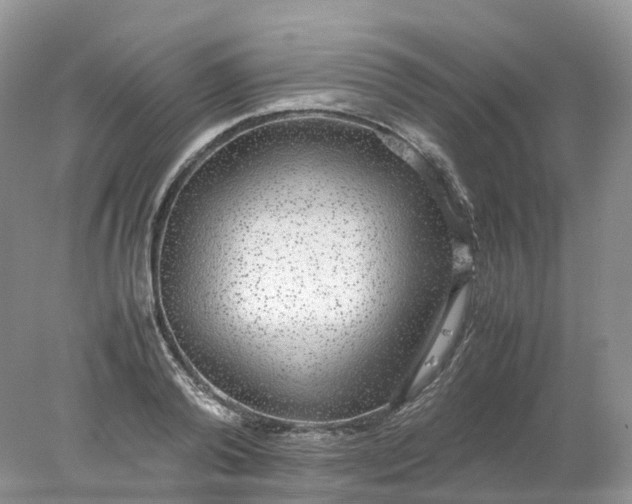 X0000078020792200611101845