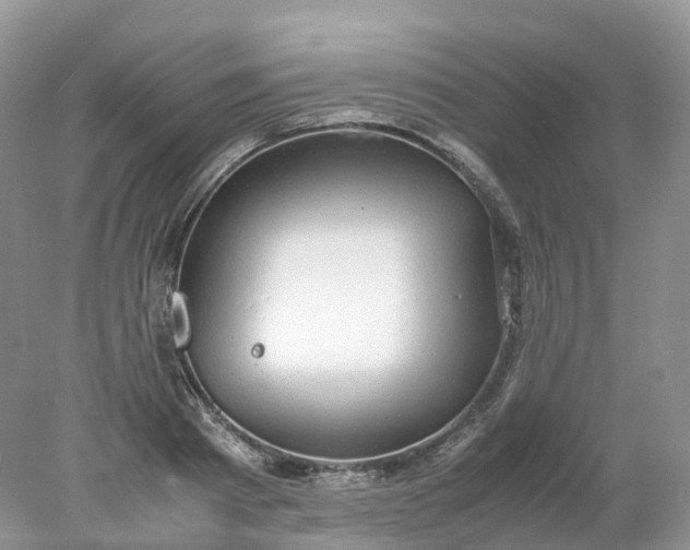 X0000078020793200611101845