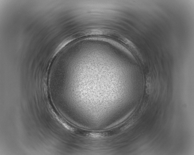 X0000078020794200611101845