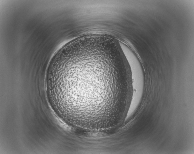 X0000078020795200611101845