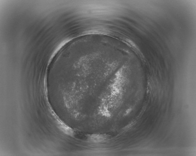 X0000078020796200611101845