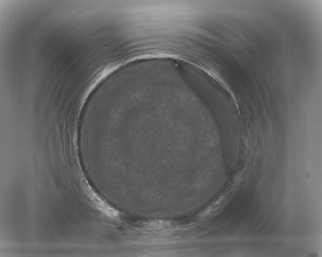 X0000078020797200611101845