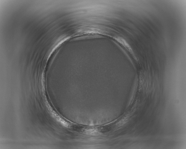 X0000078020798200611101845