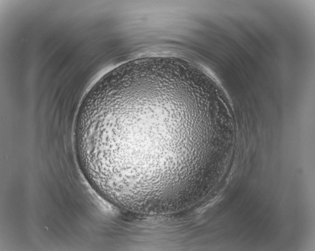 X0000078020803200611101845