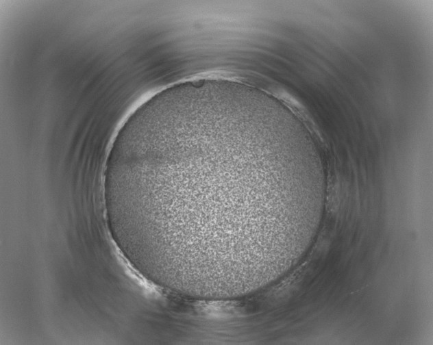 X0000078020808200611101845