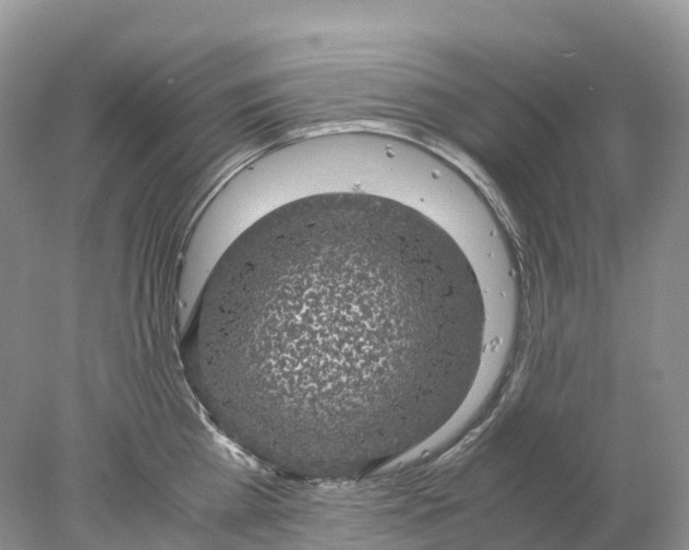 X0000078020809200611101845