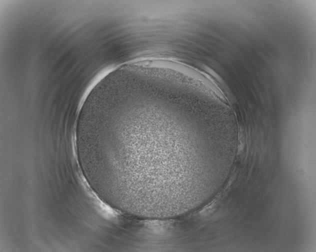 X0000078020812200611101845