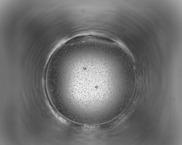 X0000078020813200611101845