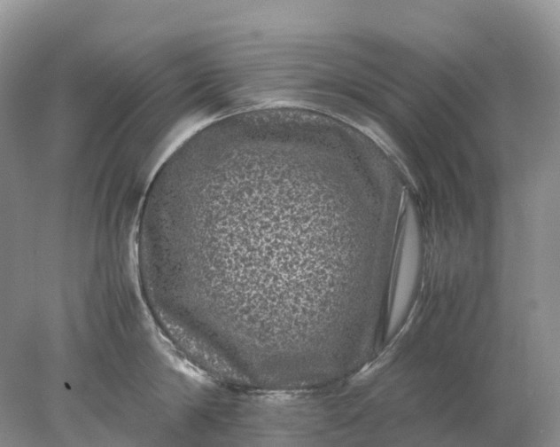 X0000078020814200611101845