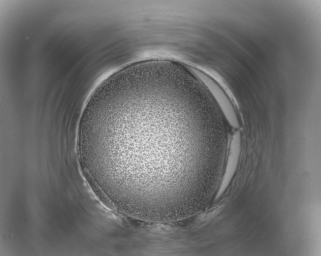 X0000078020815200611101845